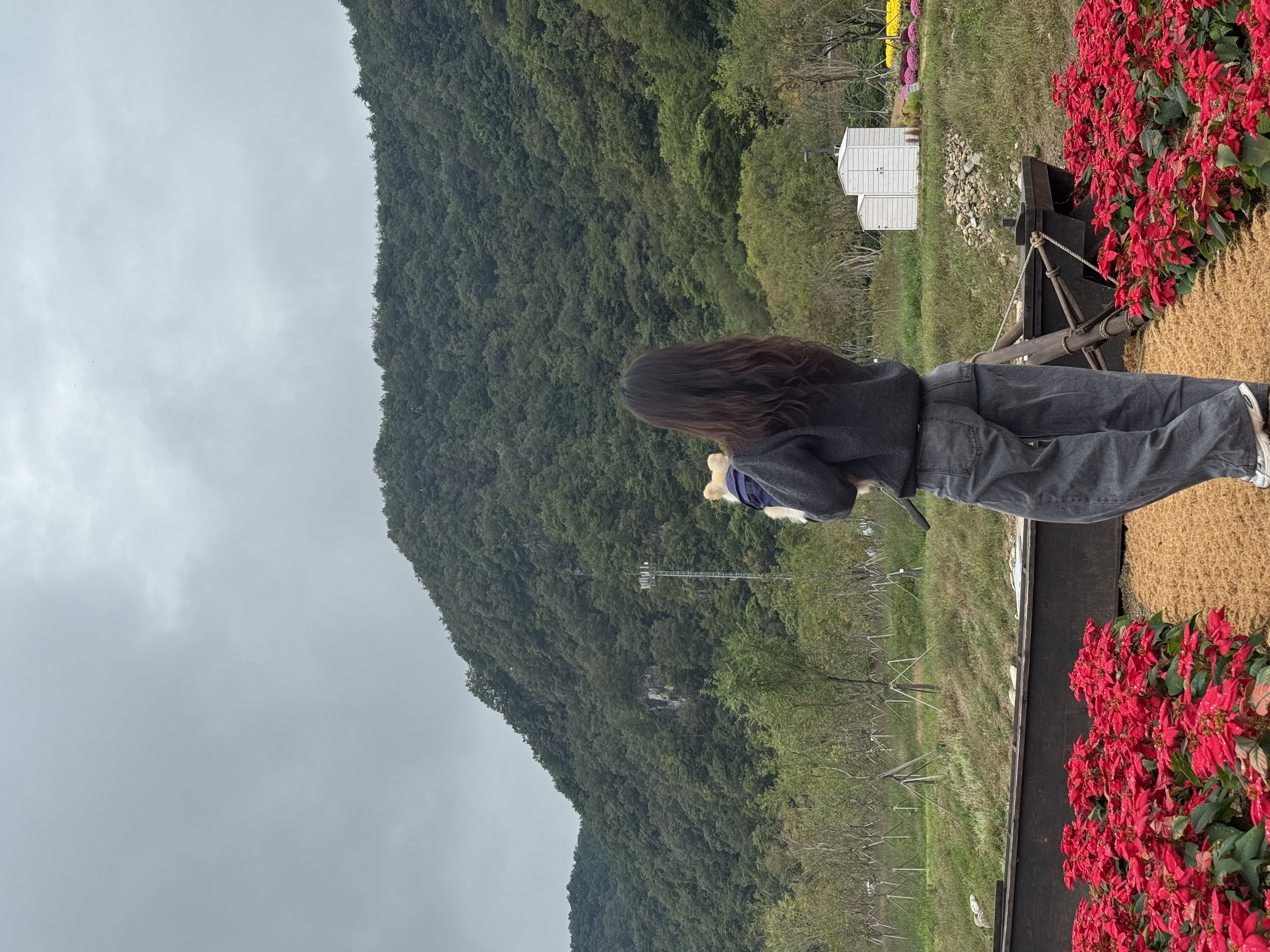 2025 여름, 겨울 코디