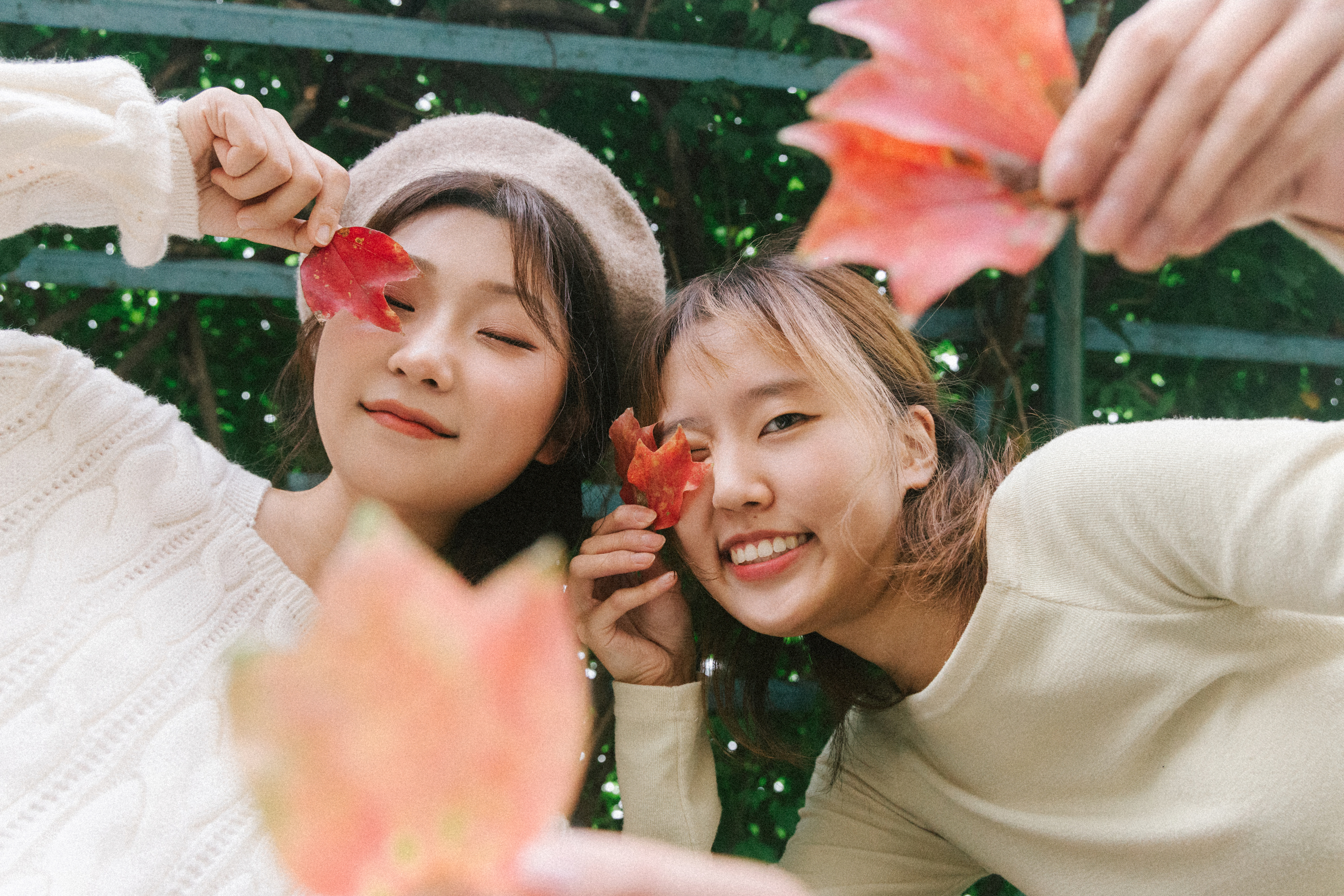 가을 트윈 촬영