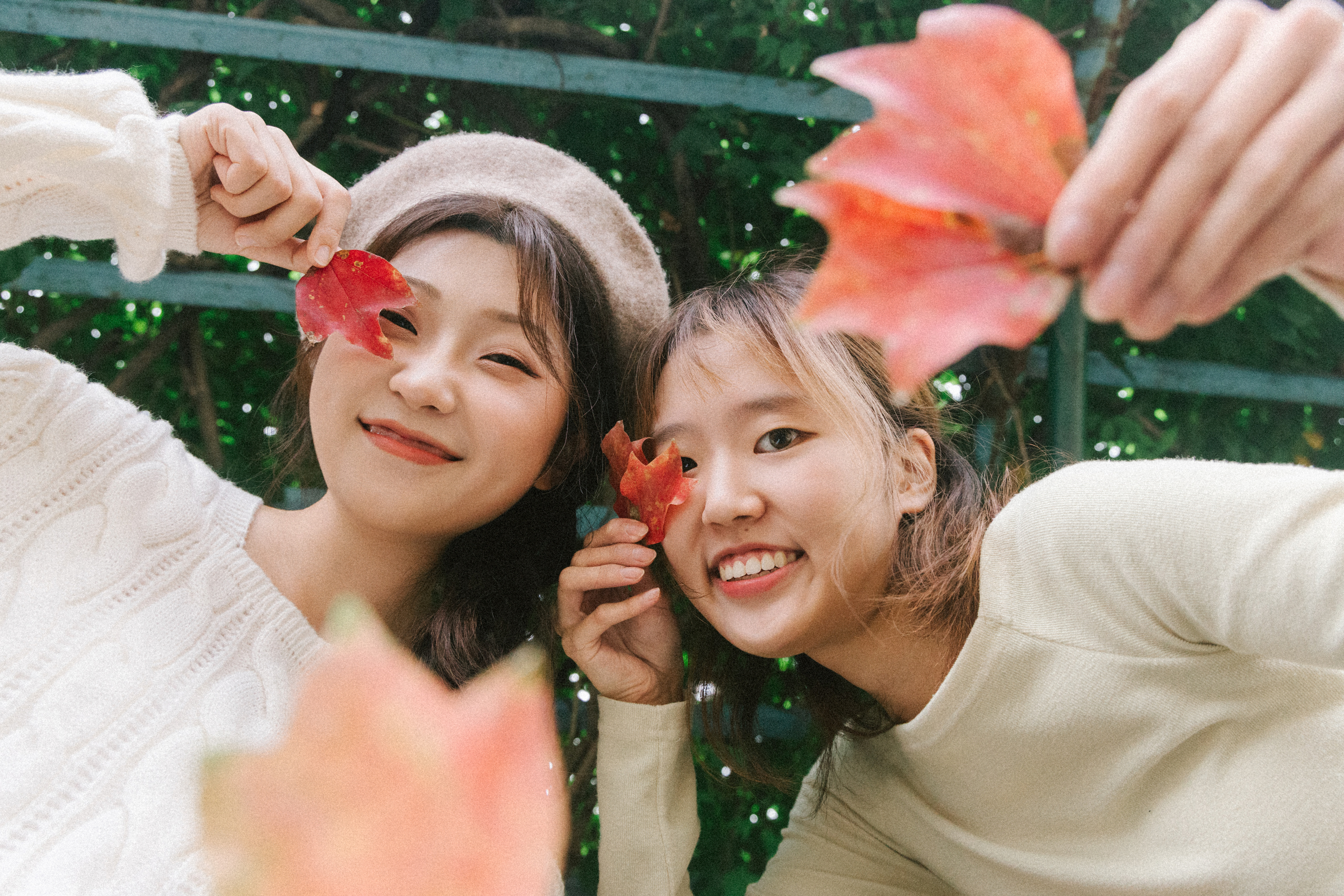 가을 트윈 촬영