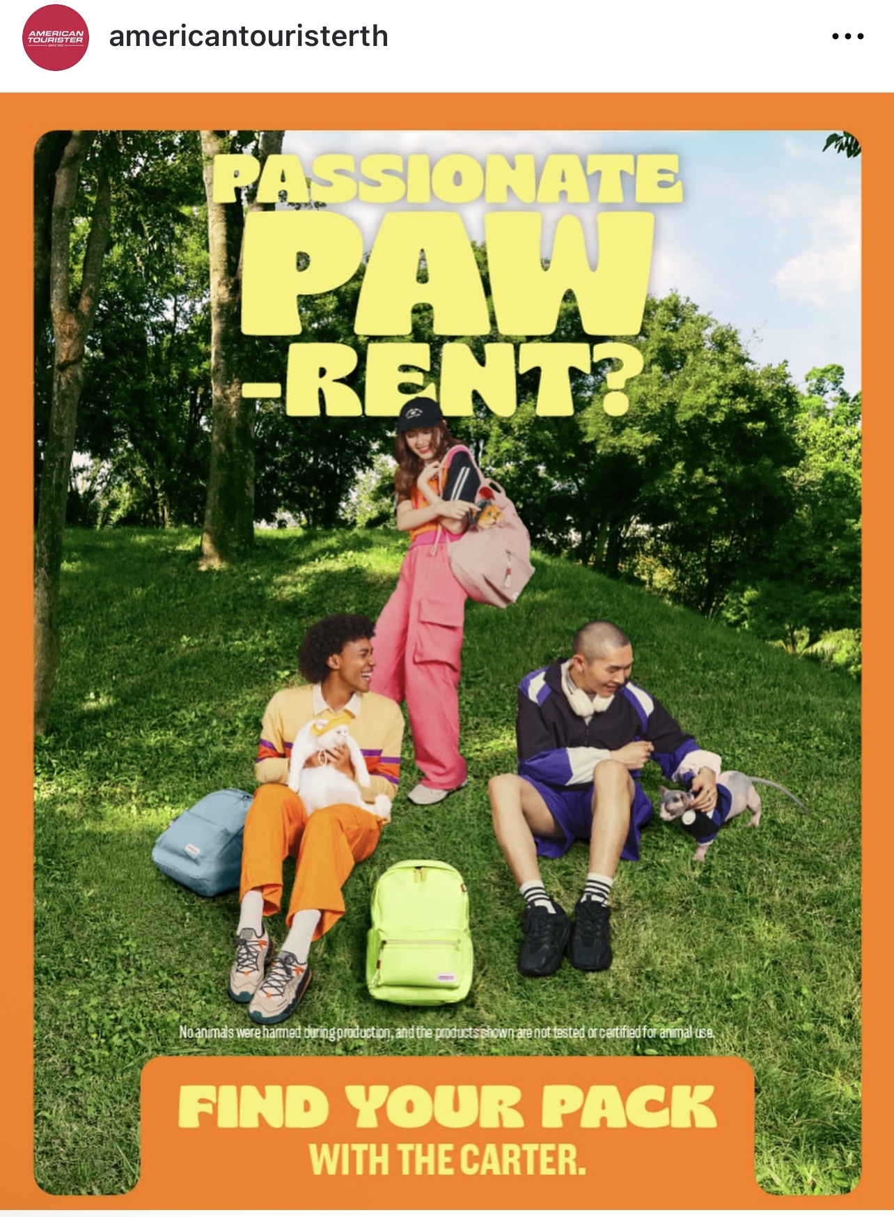 American Tourister Thailand - Find your pack